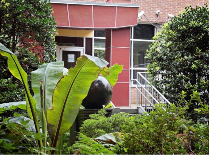Suzuki School in 2008
